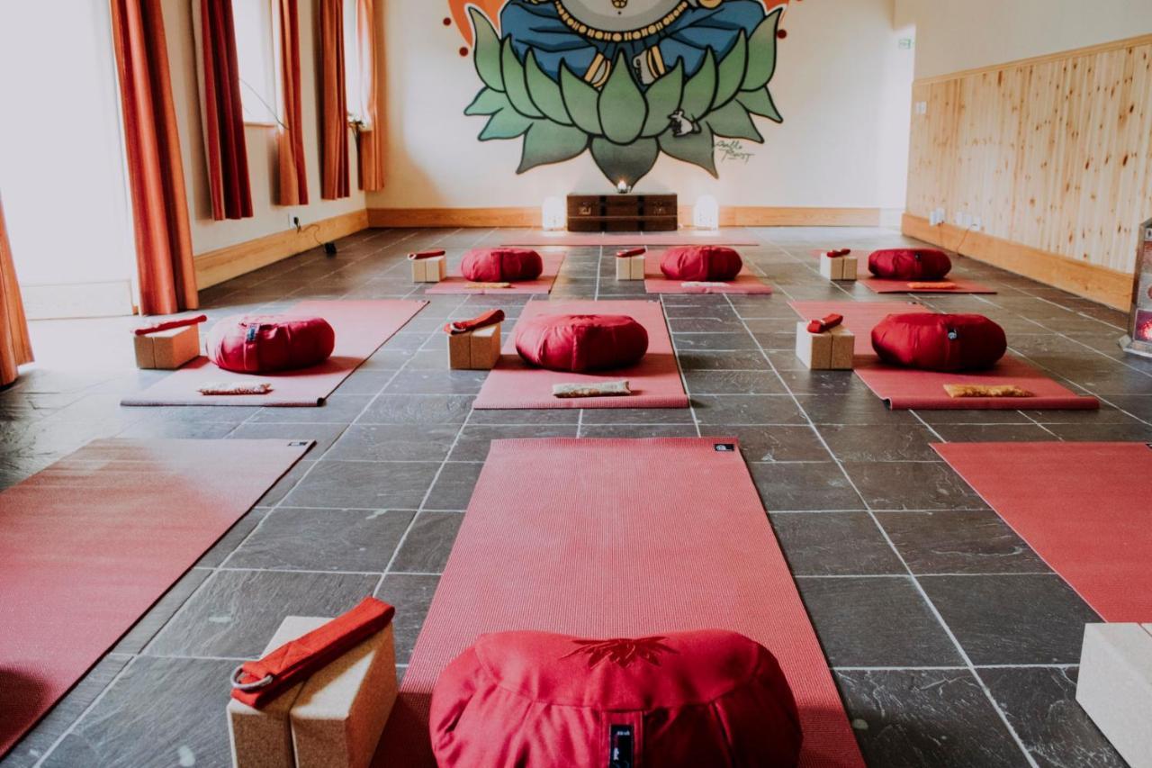 巴恩斯特珀尔Holwell Holistic Retreat住宿加早餐旅馆 外观 照片